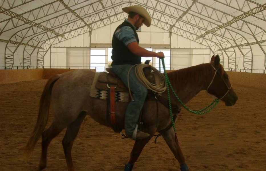 cowboy riding brown horse in fabric arena