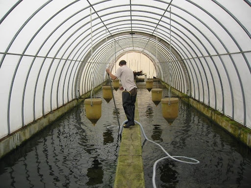 Best Practices for Fisheries and Fish Hatchery Facilities